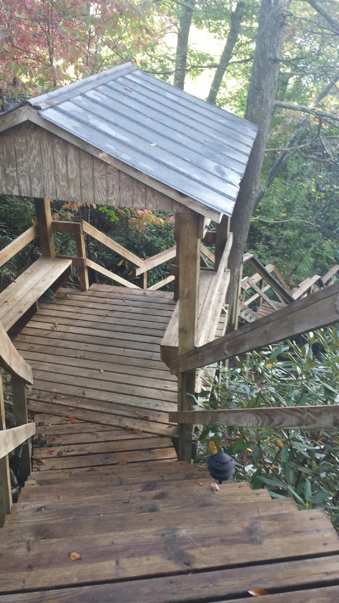 Metal roofed shelter over wooden steps on a wooded walkway — Skylight Repair & Installation work by our crew in Merlin