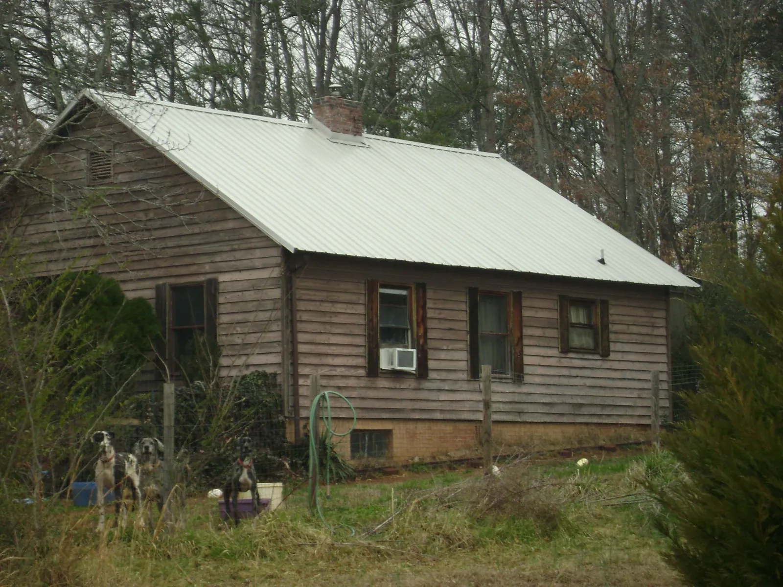White metal roof on an old wood sided farmhouse, from a Asphalt Shingle Roof Repair job in Merlin